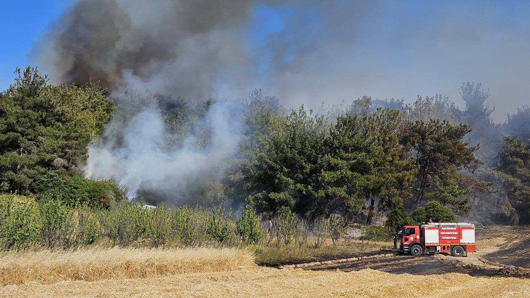 Çanakkale'deki Tarihi Alan'ın güney hattı ziyarete açıldı! Orman yangınında kapatılmıştı - Resim: 27